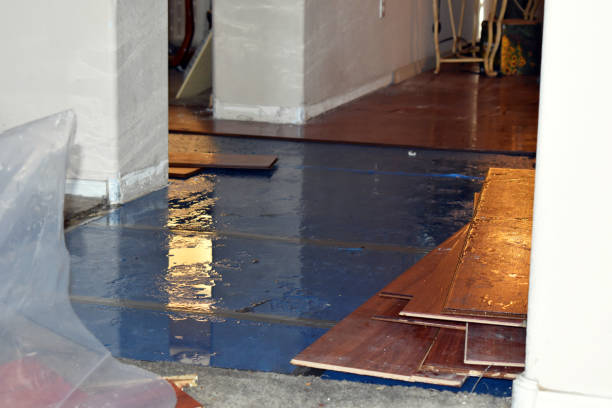 Professional Water Damage Restoration technician working in Plainview, NY